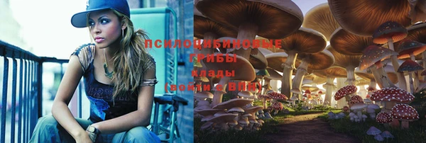 ECSTASY Белоозёрский