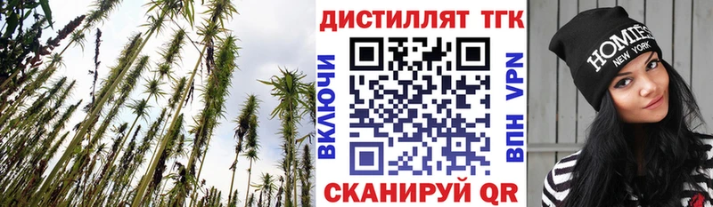 ТГК Wax Верещагино