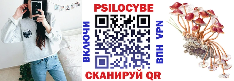 дарнет шоп Верещагино Псилоцибиновые грибы Psilocybine cubensis