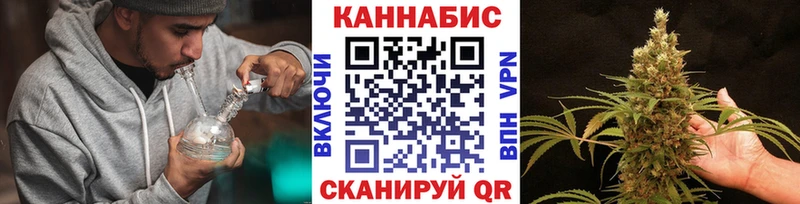 где купить наркотик  Верещагино  Каннабис сатива 